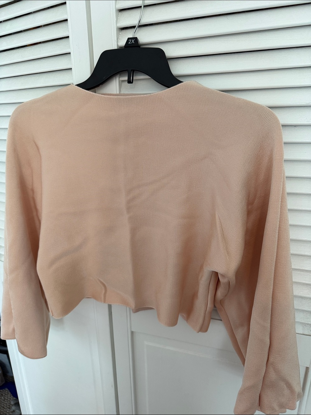 Zara Blush Cropped Long-Sleeve Top